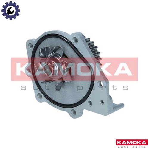 Water pump engine - pump, cooling