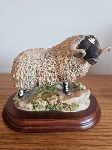 Border fine arts b169 - border, black