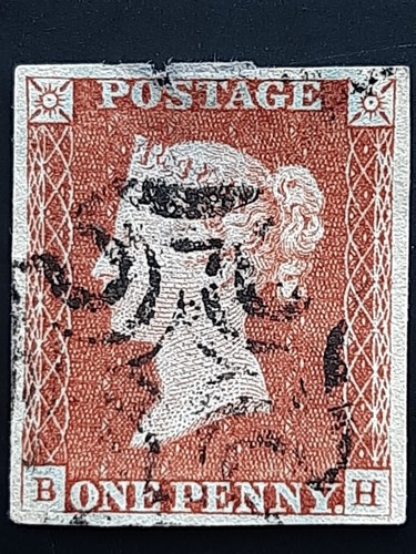 Red penny maltese - red,