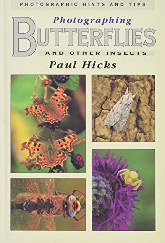 Photographing butterflies and - photographing,