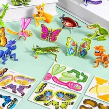 25Pcs Educational 3D Cartoon