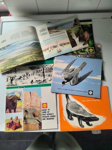 Vintage shell guides east - 8,