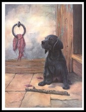 LABRADOR RETRIEVER PUPPY