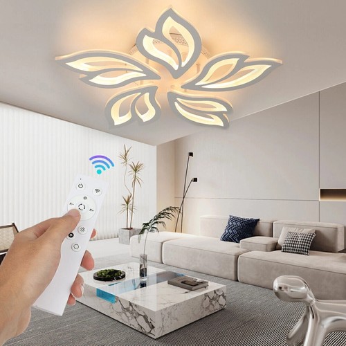Pendant lamp ceiling - ceiling, frame