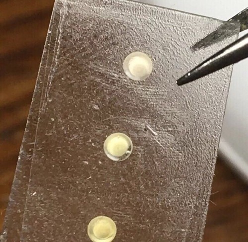 Rolex 5513 5512 - 5512, 1680