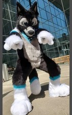 Furry Fursuit Wolf Husky Dog Mascot Costumes Halloween Birthday Party Event -
