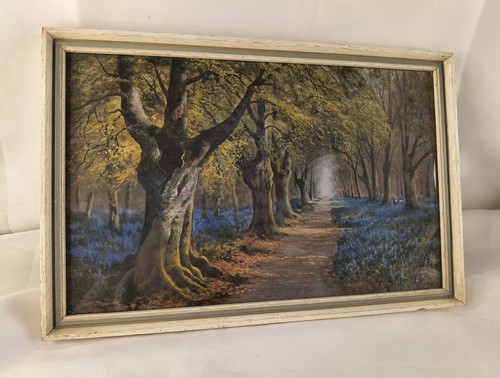 Vintage bluebells wood s - vintage,