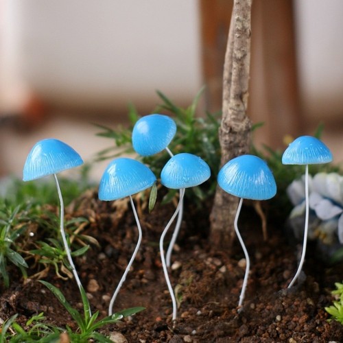 6pcs outdoor garden bonsai - garden,
