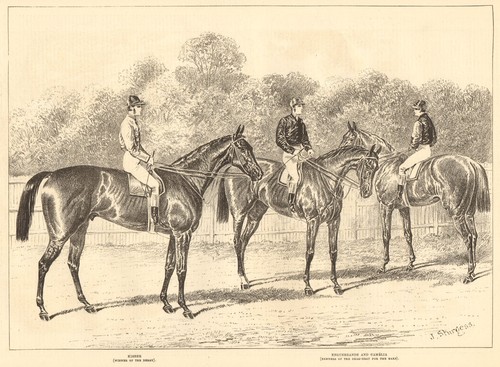 Kisber derby winner - kisber,,