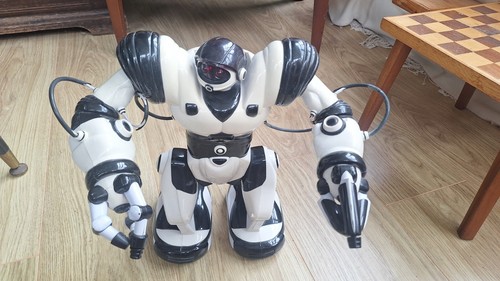 Vintage 2004 wowwee - 2004,