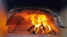 wood fired pizza oven