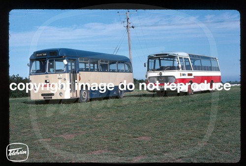 Original bus slide primrose - original,