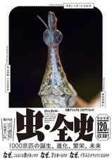 Insect History: The Birth