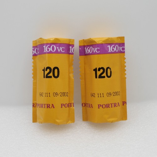 Kodak portra 160 120 - x2,