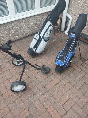 Adult onyx golf club - club, bag
