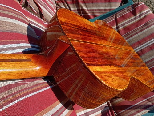 Francisco navarro guitar - francisco,