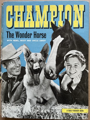Champion the wonder horse - champion,