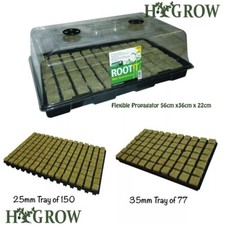 Root propagation or - it, 77