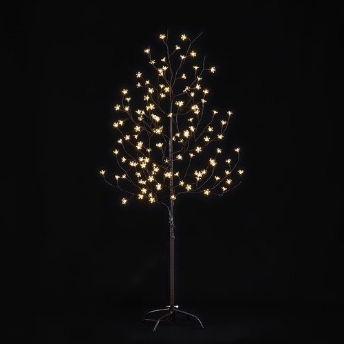 Lighted cherry blossom - blossom, tree