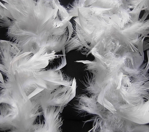 Feather boa costume - 2m,