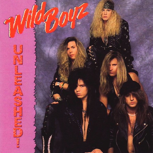 Wild boyz unleashed - unleashed!, (cd)