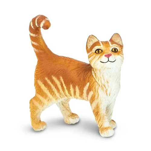 Cute orange tabby cat - orange, safari