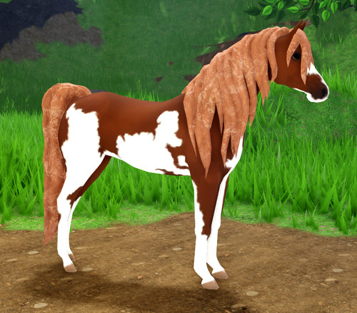 Wild horse islands roblox - horse,