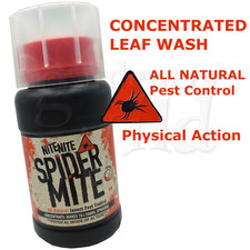 Spider mite 250ml nite - spider,