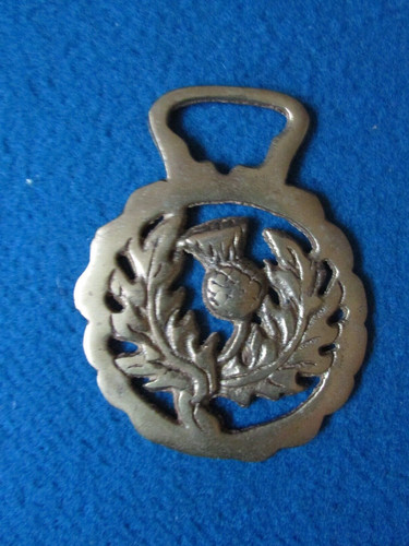 Vintage horse brass scottish - brass,