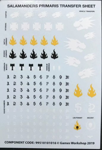 Salamanders transfer sheet - salamanders,