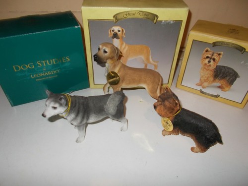 Leonardo collection dog - leonardo, :