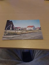 Vintage Postcard Whale Bone