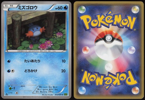 Mudkip xy5 012 - 012/070, |