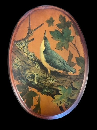 Vintage oval wooden bird - vintage,