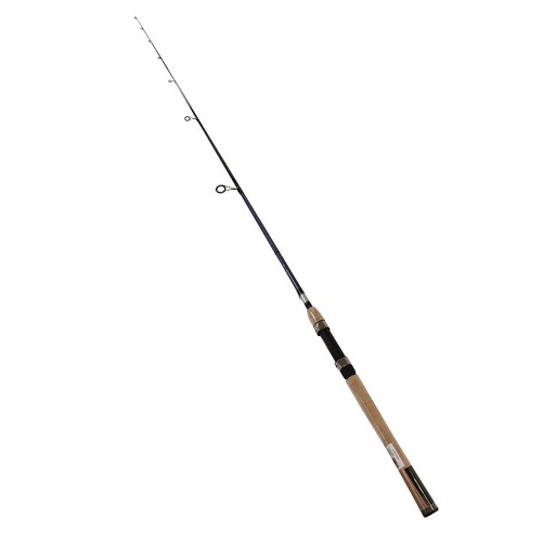 Daiwa aird coastal acin761mhfs - daiwa,