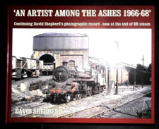 An Artist Among the Ashes