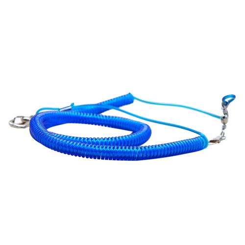 Parrot bird leash - parrot,