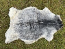 Nice New Real Rare Breed