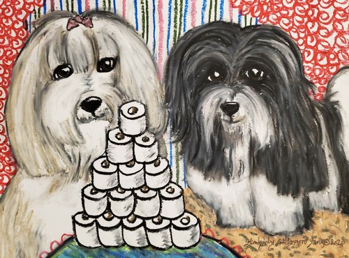 Havanese hoarding aceo - havanese, tp
