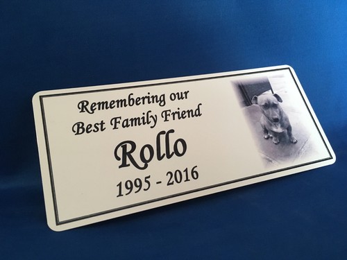 Personalised pet photo - pet,