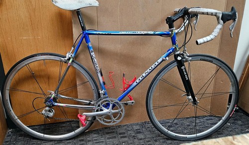 Colnago decor master light - master, 22"