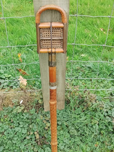 Victorian bamboo shooting - victorian,