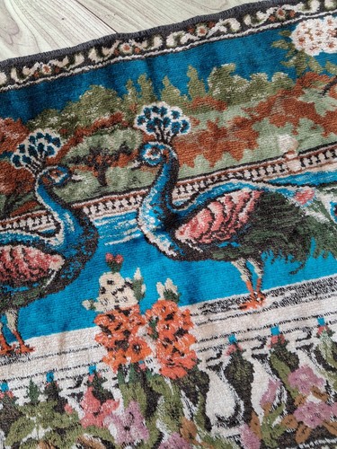 Small beautiful peacocks - small,