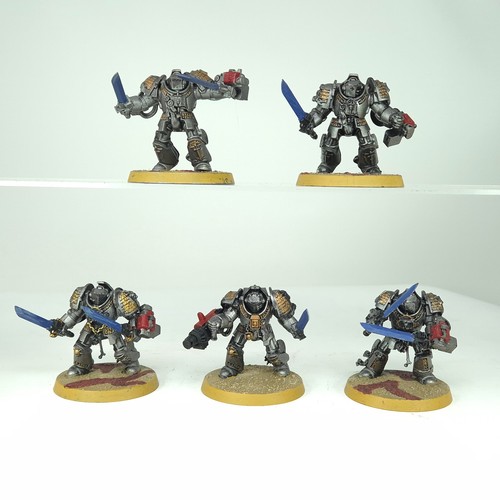 Brotherhood terminator squad - terminator,