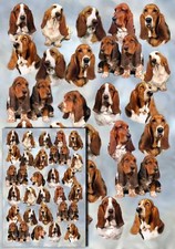 Basset Hound Dog Gift Wrapping Paper By Starprint - One sheet plus gift card