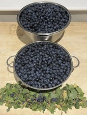 Royal Windsor Sloe Berries