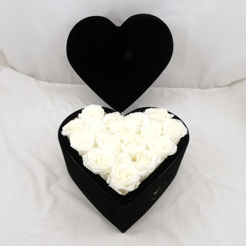 Rose forever white - forever,