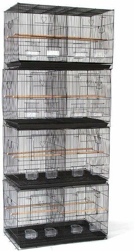 Lot breeding bird - lot, carrier