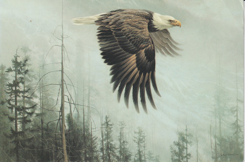 Robert bateman orig - bateman,, on