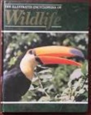 Orbis: The Illustrated